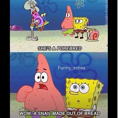 Hahah Oh Patrick Funny Spongebob Memes Spongebob Funny Spongebob