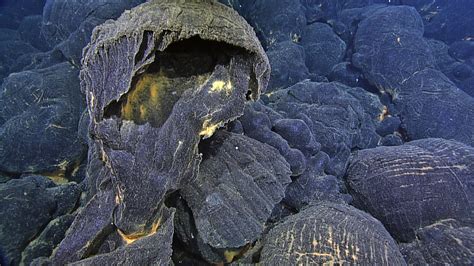 Underwater Volcano Offers Rare Look at Eruption in Real Time