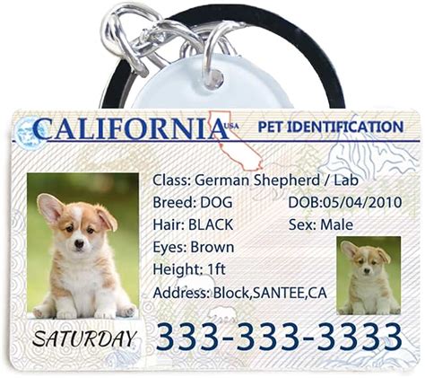 Amazon.com: dog tags drivers license