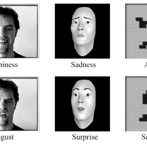 Examples of the stimuli. | Download Scientific Diagram