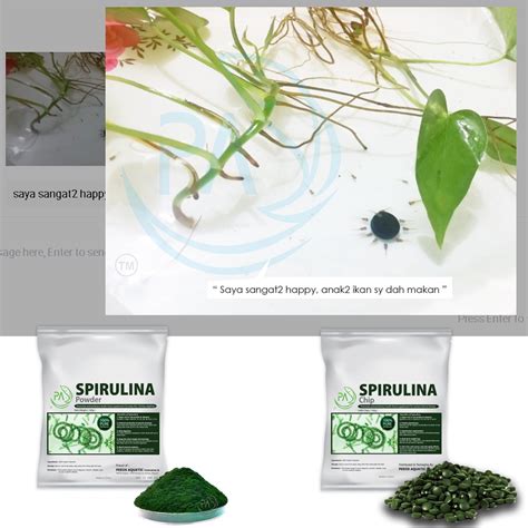 Pa Spirulina Powder High Grade Algae Chip Magic Aquarium Food Betta Fry