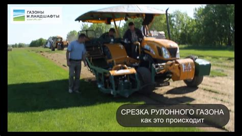 Рулонный газон "Универсальный": срезка газона - YouTube