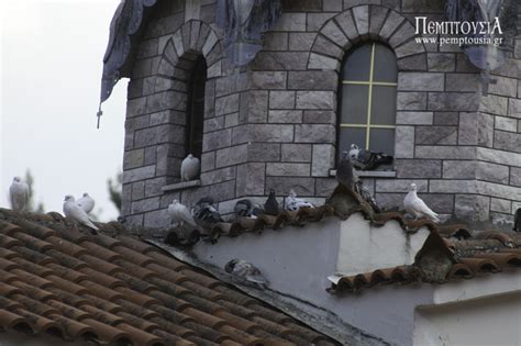 The Holy Monastery of Saint David the Elder (Evia). | PEMPTOUSIA