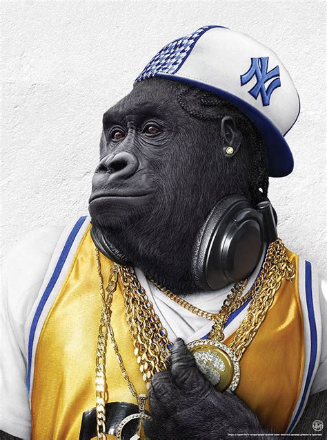 Gangster Gorilla - Monkeys Photo (7274009) - Fanpop