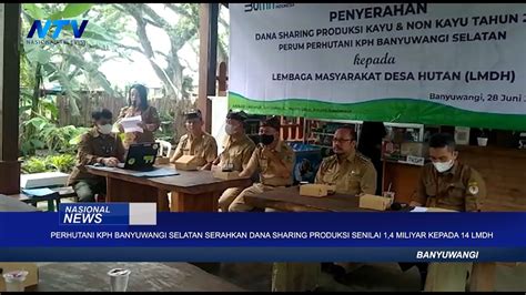 Perhutani Kph Banyuwangi Selatan Serahkan Dana Sharing Produksi Senilai