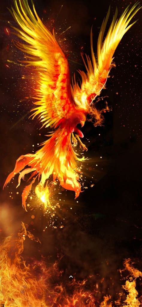 Phoenix Wallpapers 4k Hd Phoenix Backgrounds On Wallpaperbat