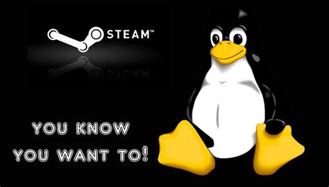 Valve Tears Into Steam Linux Beta