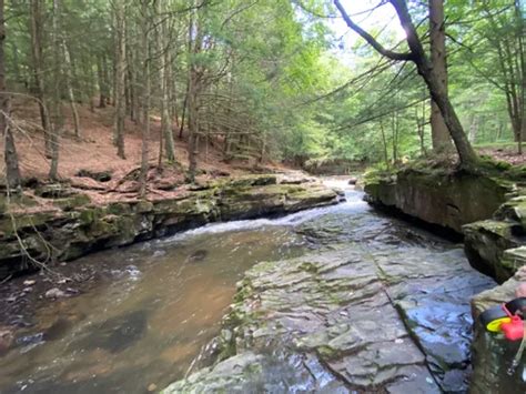 2023 Best Waterfall Trails In Spring Brook AllTrails