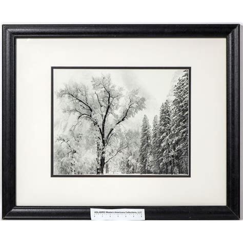 Ansel Adams Winter Scene Photo Framed 156744