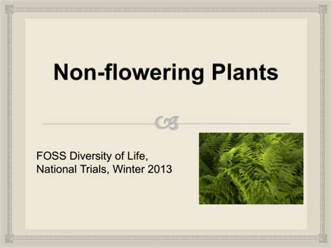 Non-flowering Plants Slideshow