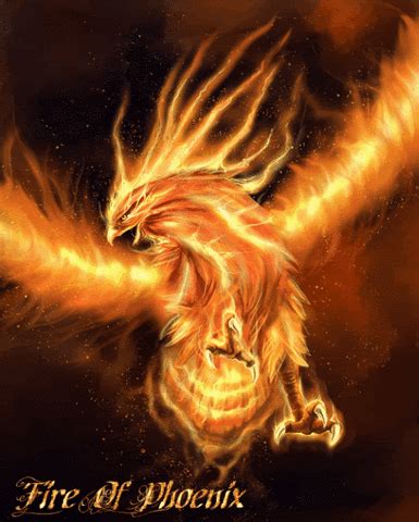 Beautiful Phoenix Graphic Design GIF | GIFDB.com
