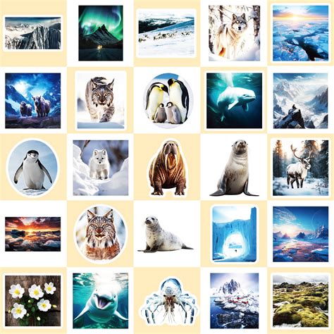 Наклейки, стикеры "Природа, животные, фотография, камера, цветы, дом ...