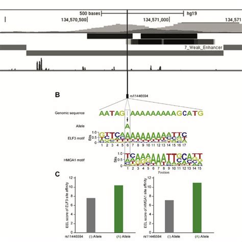 A A Shot From Ucsc Genome Browser To Illustrate The Location Of