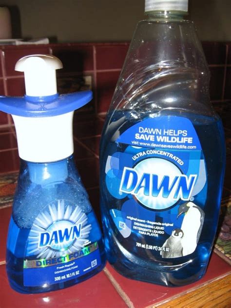 How To Make Your Own Foaming Dish Or Hand Soap And Save Big Bucks