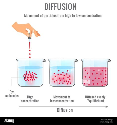 An Illustration Depicting The Scientific Phenomenon Of Diffusion Stock