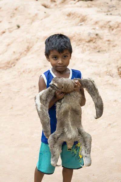 Boy holding sloth – Stock Editorial Photo © stetsik #97136394