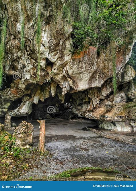 Buffalo Cave In Jitra Kedah Malaysia Stock Photo Image Of