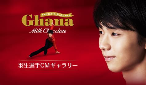 Lotte Ghana Black Chocolate Bar 50g Made In Japan Ochaskicom