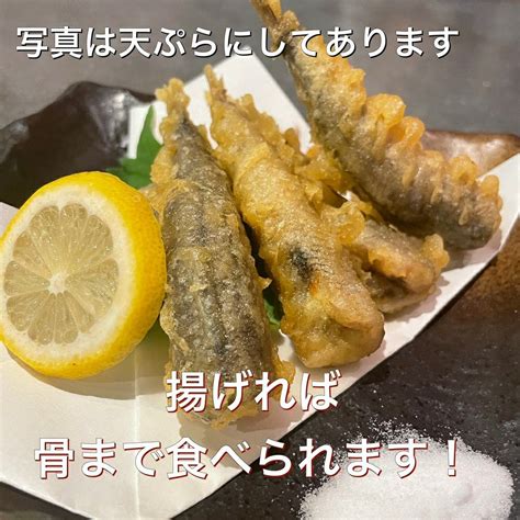 鮮魚 大永水産オンラインショップ