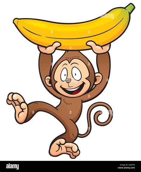 Monkey Holding Banana Hi Res Stock Photography And Images Alamy