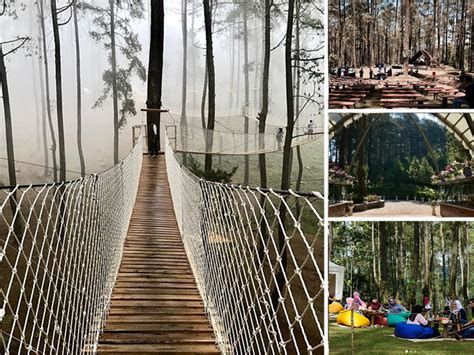 Orchid Forest Cikole Tempat Asyik Wisata Alam Di Lembang Wisatabdg