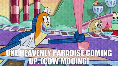 YARN One Heavenly Paradise Coming Up Cow Mooing SpongeBob