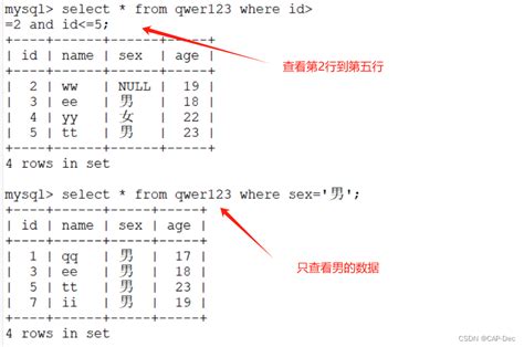 Mysqld数据库管理 CSDN博客