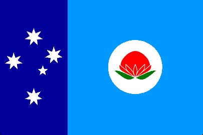 AusFlag: NSW Flag Designs