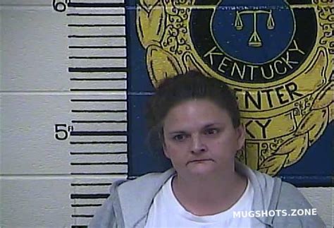 Collins Karen Clay County Mugshots Zone