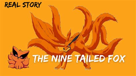 Nine Tailed Fox Real Life