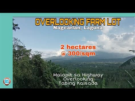 P 96 2 Hectares 300 Sqm Overlooking Farm Lot In Nagcarlan Laguna