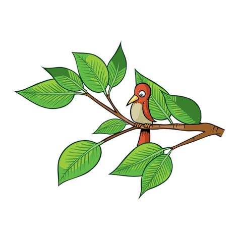 Premium Vector Natural Colorful Bird Vector Pro Illustration