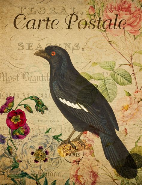 Bird Vintage Floral Postcard Free Stock Photo Public Domain Pictures