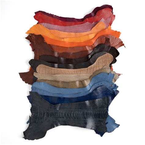 Shop Leather Essentials At Tandy — Tandy Leather Inc