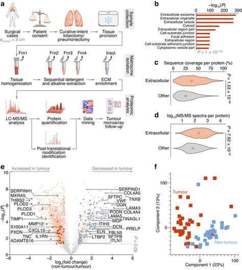 Proteomic Analysis Of Patient Derived Lung Tumour ECM A Summary Of