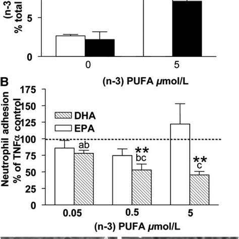 Effects Of DHA Or EPA Supplementation On The Specific N 3 PUFA Level