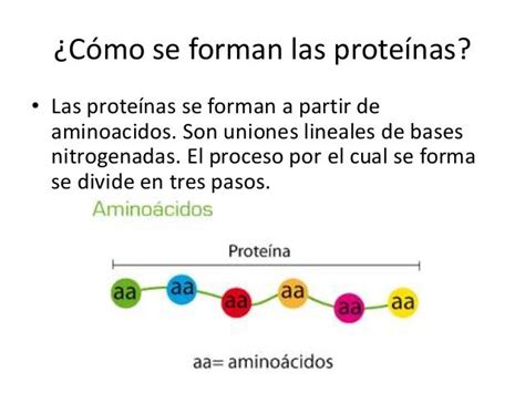 Descripcion De Proteinas