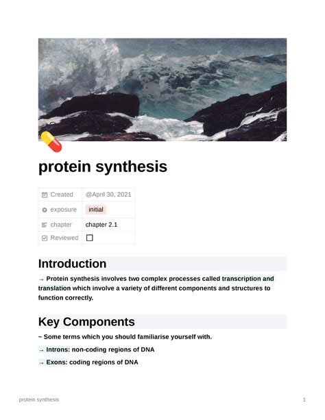 Protein Synthesis Vce Biology Unit 3 4 Notes X Protein Synthesis Created Exposure Initial