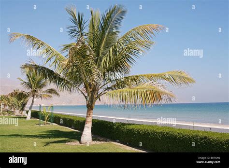 Sharjah - beach Stock Photo - Alamy