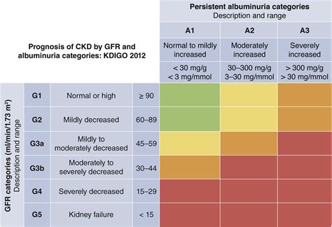 Kdigo 2021 Clinical Practice Guideline For The Management Of Glomerular