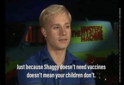 One Last Shaggy Meme Before It Dies Rmemes