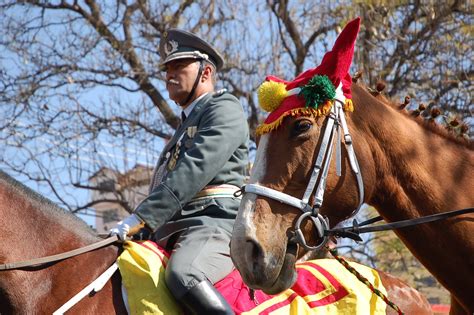 Horse Parade Free Photo Download | FreeImages