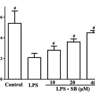 SB Treatment Regulated LPS Induced SOD A And GSH B In HPDLs P