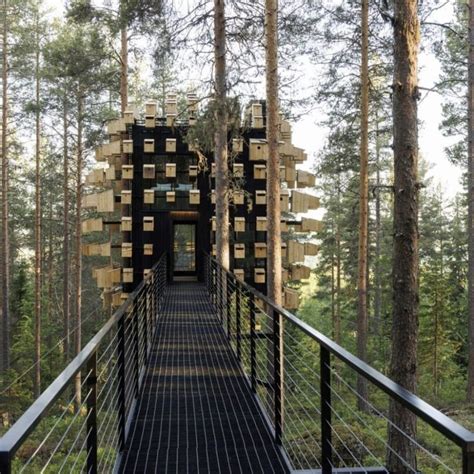 The Latest Edition Of Dezeen Debate Features A Treehouse Hotel Room By