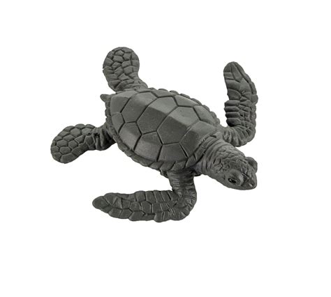 Safari Ltd Life Cycle Of A Green Sea Turtle Buy Online In United Arab