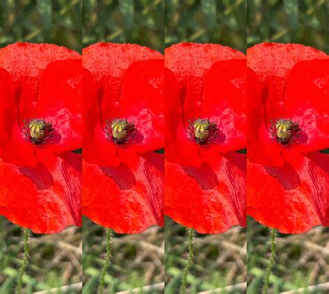 Obits norfolk ne show the lives of those who built the town 17