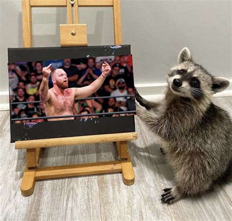 Photoshop Happy Raccoon Artists Freakin Awesome Network Forums