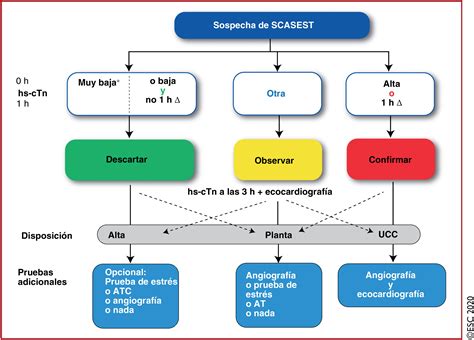 Gu A Esc Sobre El Diagn Stico Y Tratamiento Del S Ndrome Coronario