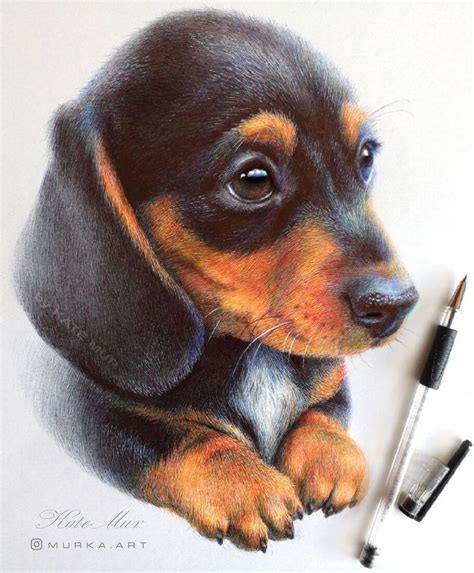 Animal Art with Pencil Ballpoint Pen and Paint | Dog watercolor ...