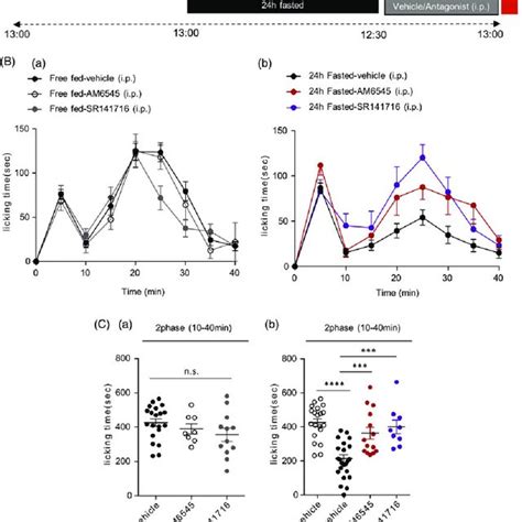 The Effect Of Subdiaphragmatic Vagotomy On Fasting Induced Analgesia In